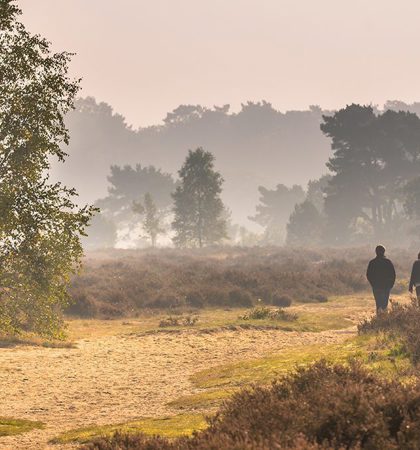 Wandelen In De Natuur
