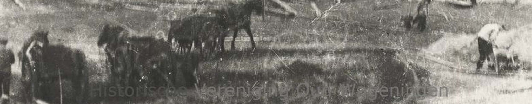 The history of Recreation Park de Wielerbaan