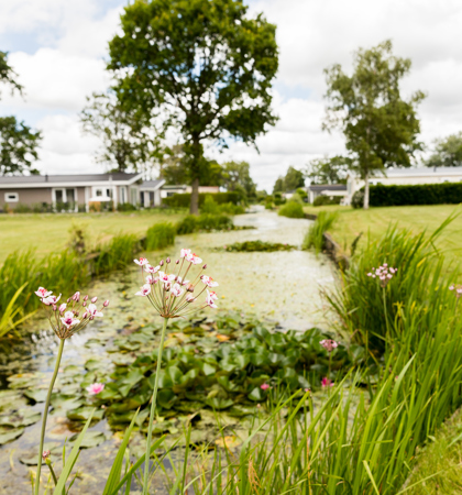 Park Westerkogge Vakantiewoningen Aan Het Water