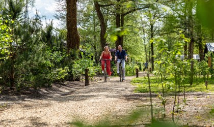 Residence Lage Vuursche Vakantiegasten Fietsen