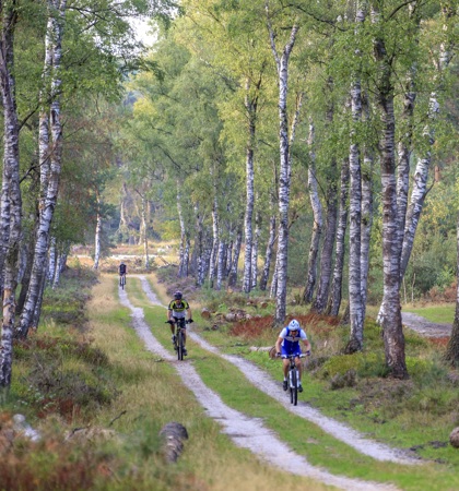 Mountainbiken Jurjen Drenth Bd592653 3D72 4745 95B1 F9b0ddf9032d
