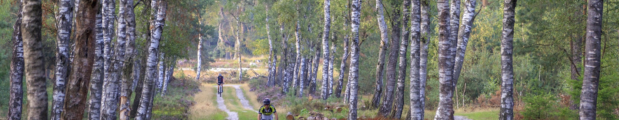 New mountain bike routes on the Veluwe