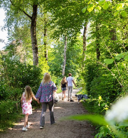Resort Veluwe Vakantiegasten Wandelen 1