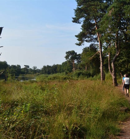 Wandelen (2)